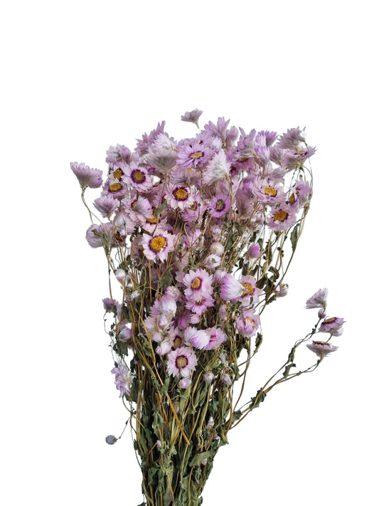     artificial daisy purple