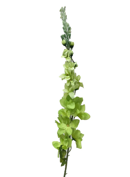 Primavera Pillar Kit