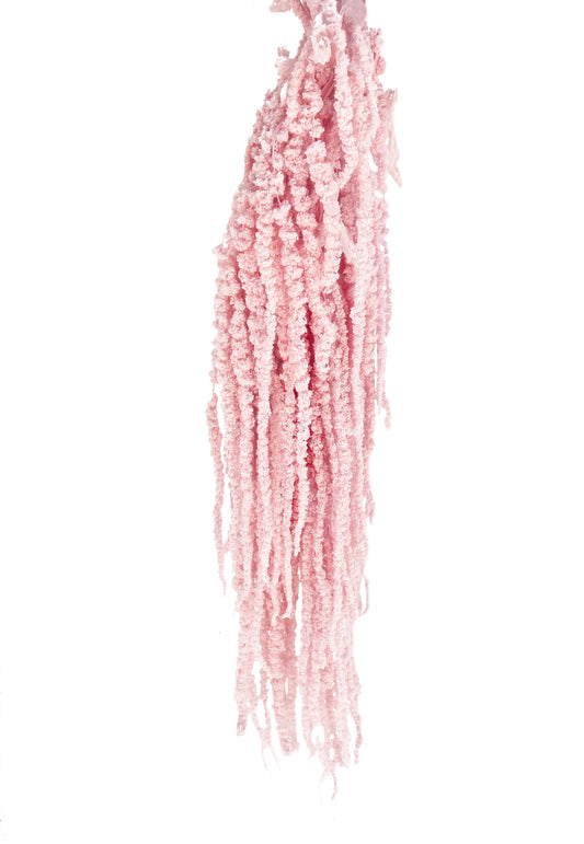      artificial dried amaranthus light pink