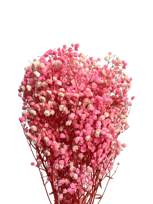      artificial dried baby breath pink