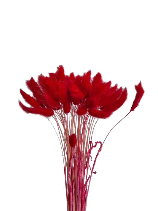    artificial dried bunny tails red