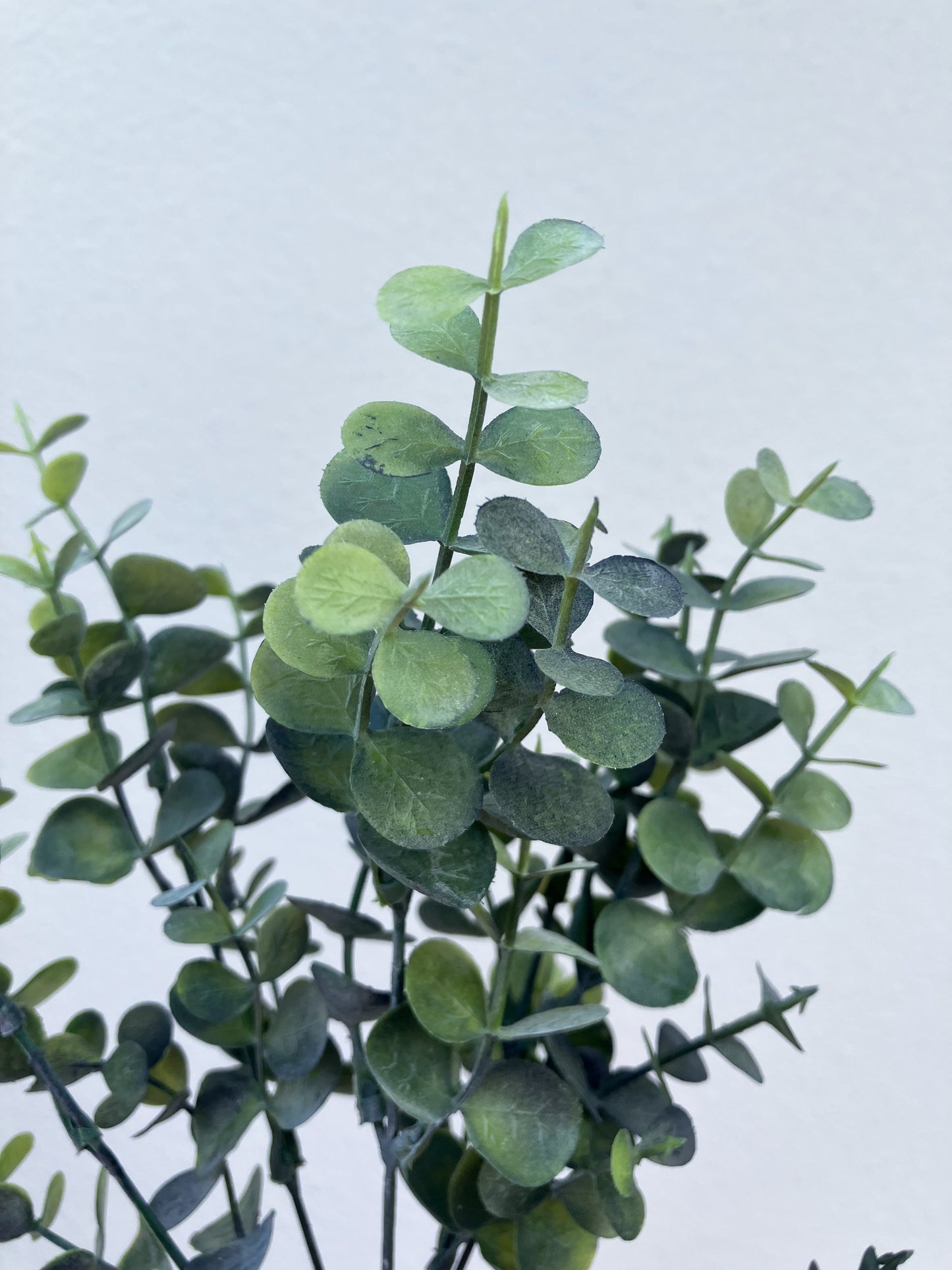 Artificial Eucalyptus Bunch Dusty Green