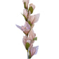 Artificial Gladiolus Nude Blush