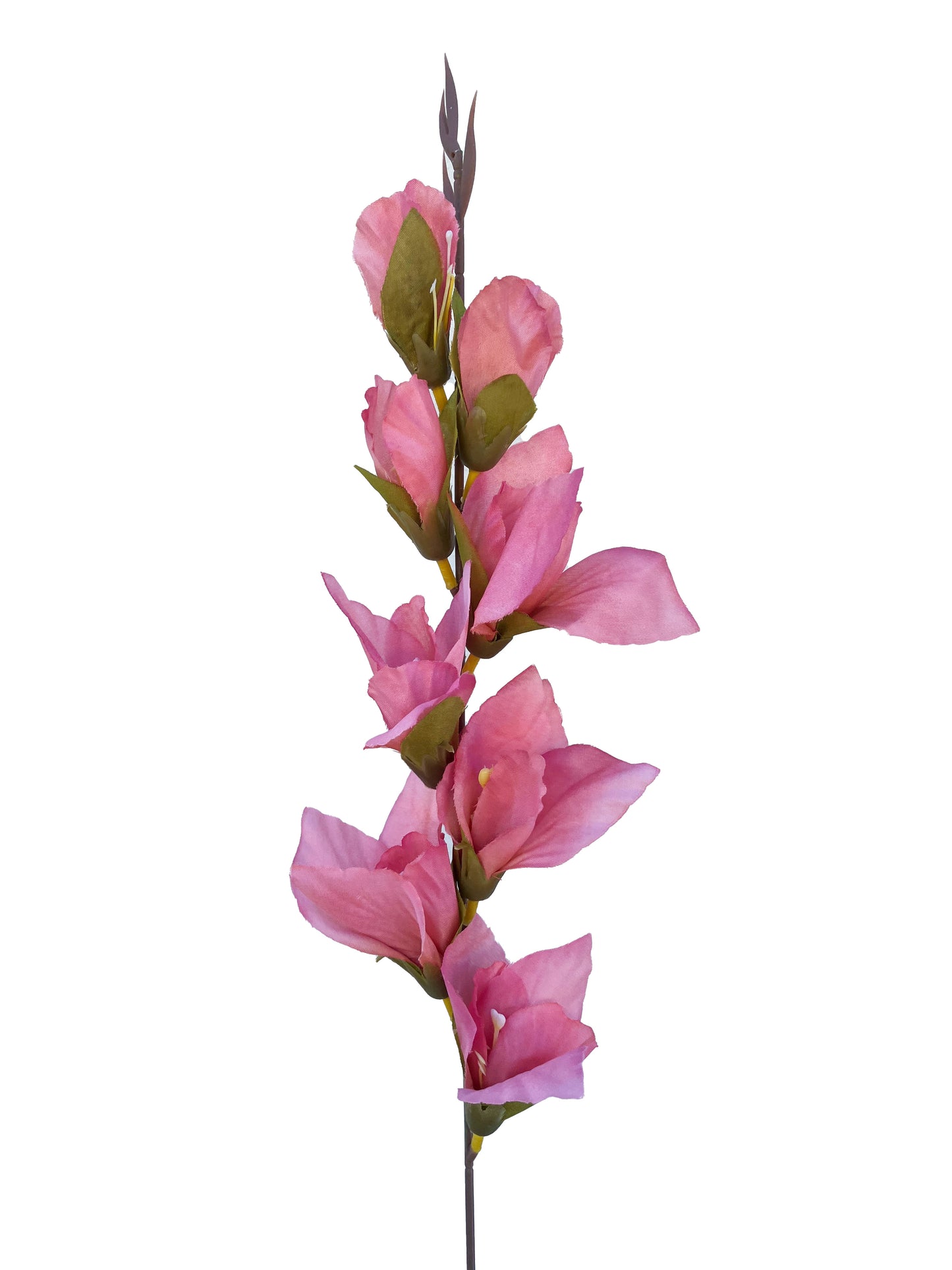 Artificial Gladiolus Watermelon