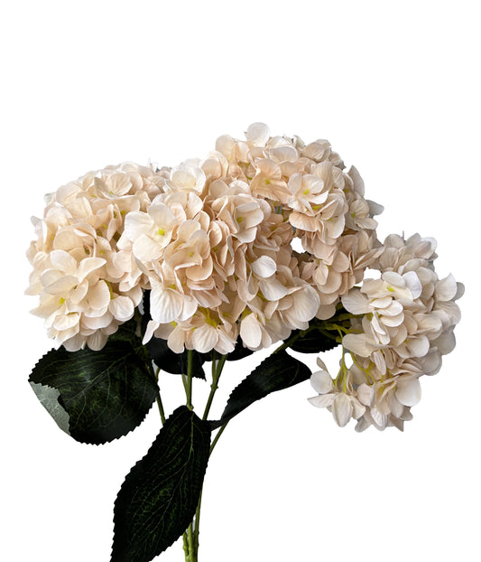 Artificial Hydrangea Bunch Champagne Cream Silk