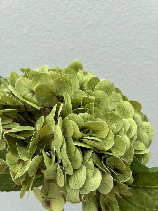 Artificial Real Touch Hydrangea Dusty Green