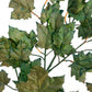 Cheap Foliage filler Ivy