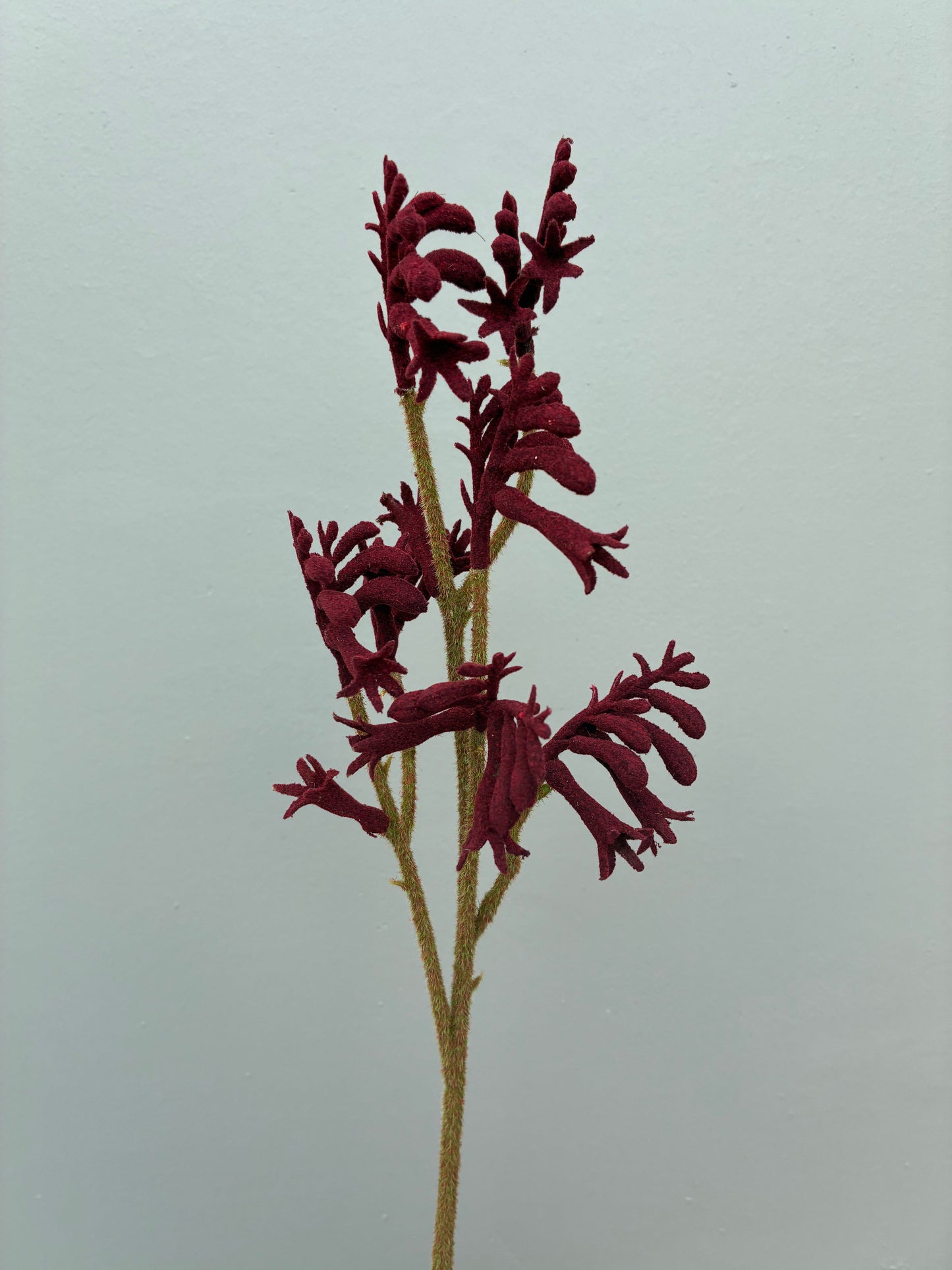 Artificial Kangaroo Paw Dark Red