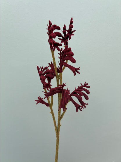 Artificial Kangaroo Paw Dark Red