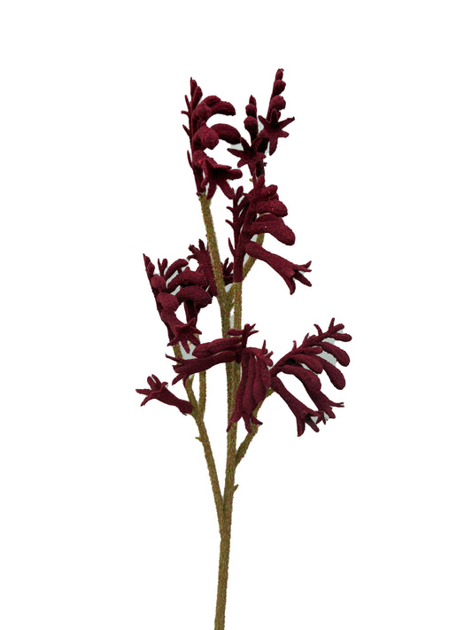 Pata de canguro artificial