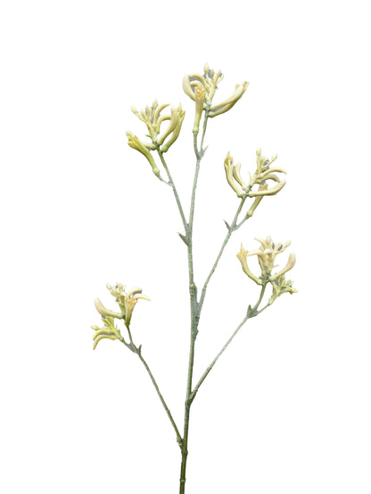 Pata de canguro artificial