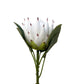 Artificial Protea White