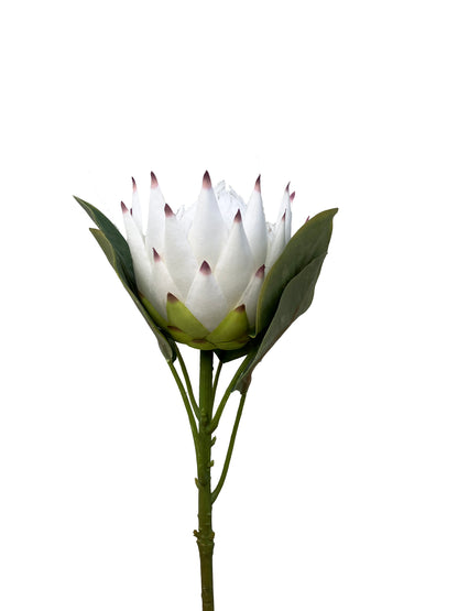 Artificial Protea White