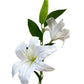 Artificial Lily White