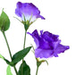 Lisianthus Artificial Púrpura