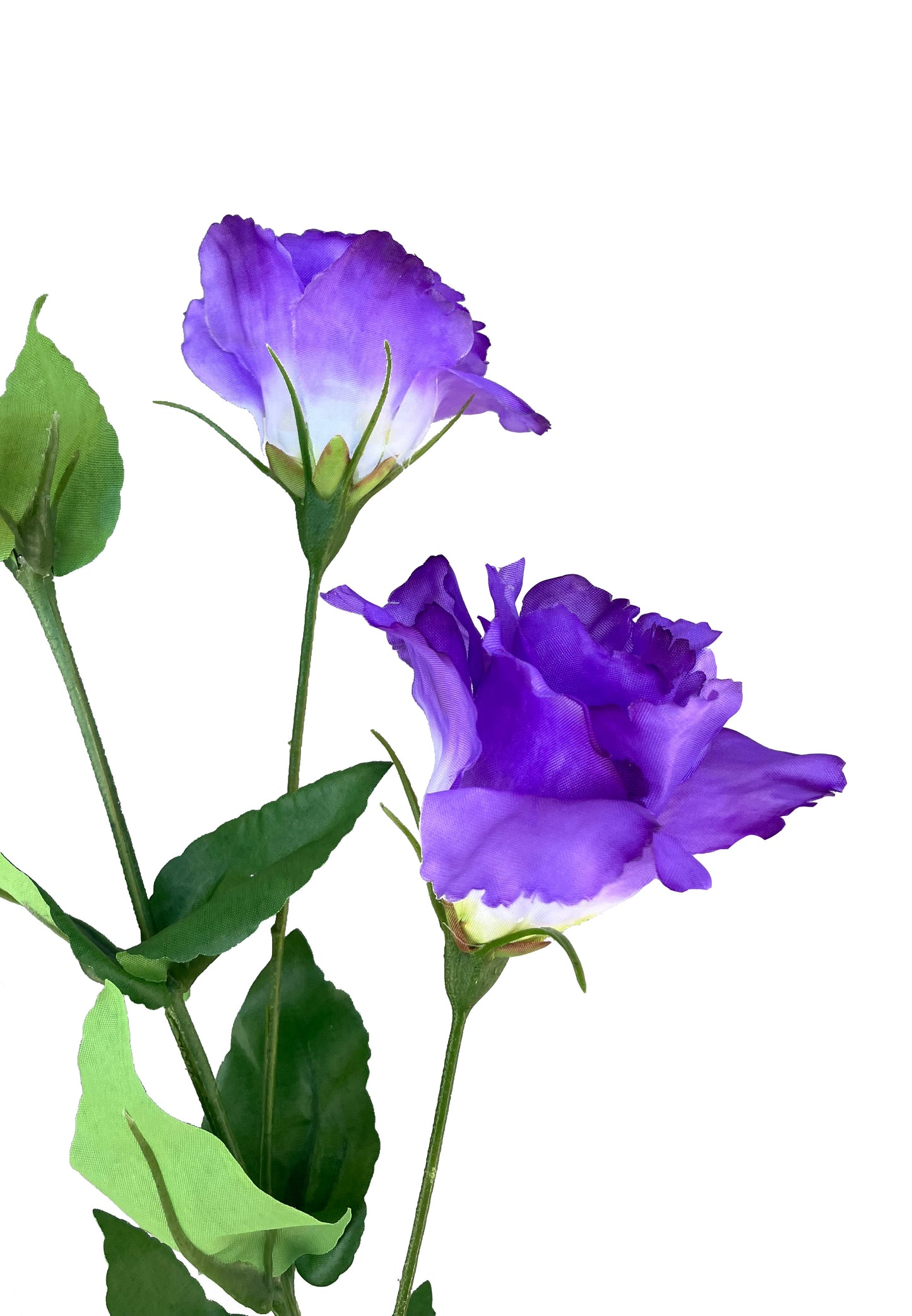 Lisianthus Artificial Púrpura