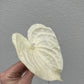 Artificial Mini Anthurium White-PRODUCT FAULT CLEARANCE