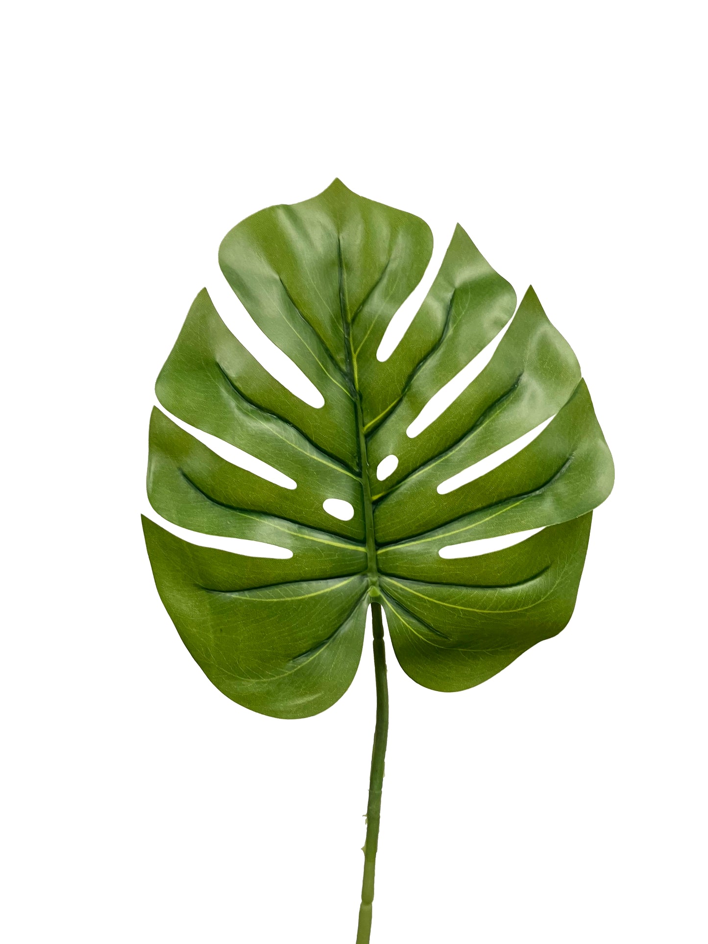 Hoja De Monstera Artificial Pequeña