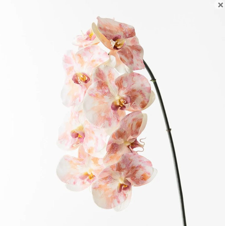 Artificial Real Touch Orchid Picasso Peach Pink Pastel