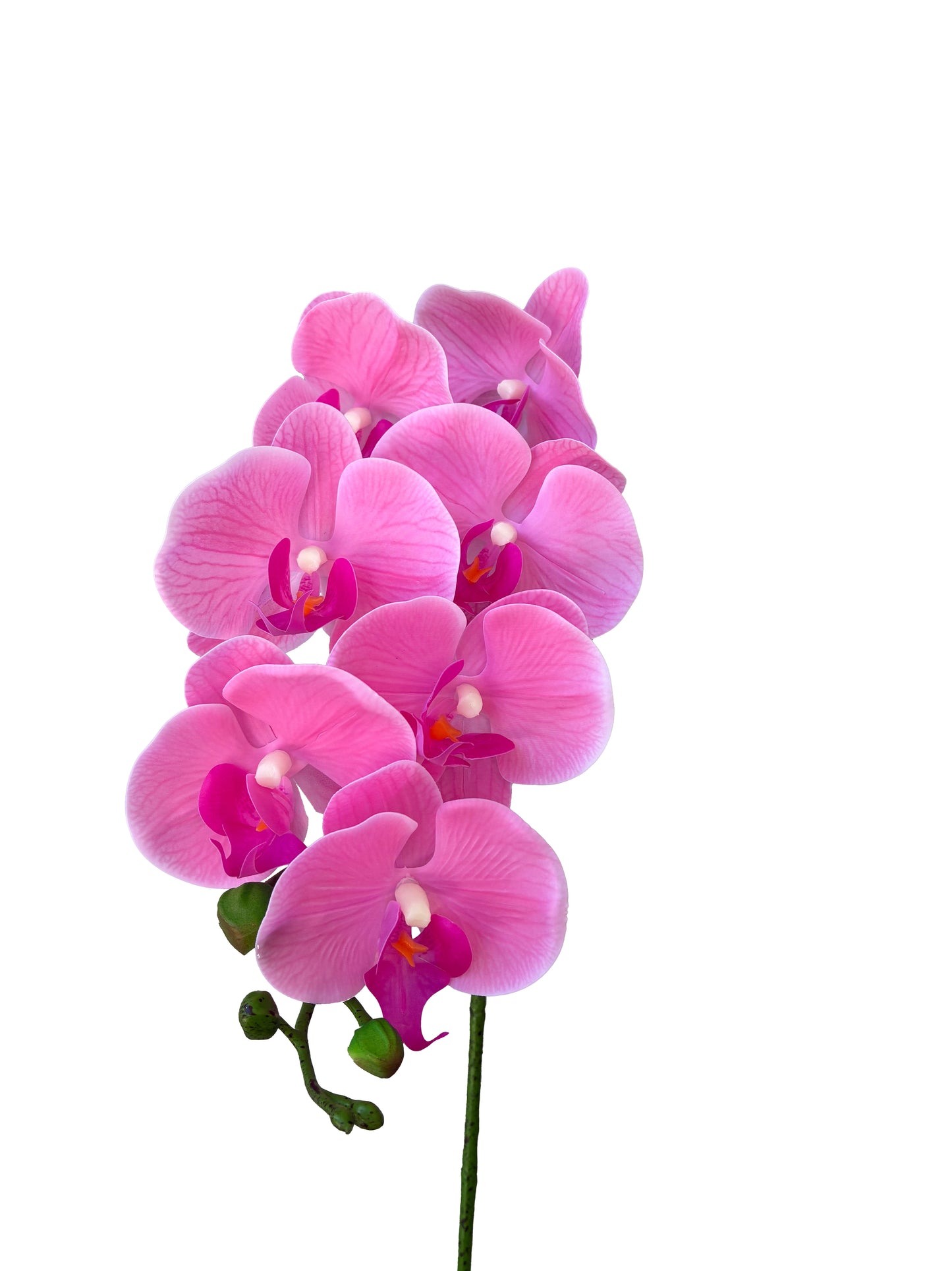Orquídea Artificial Real Touch Rosa Fuerte