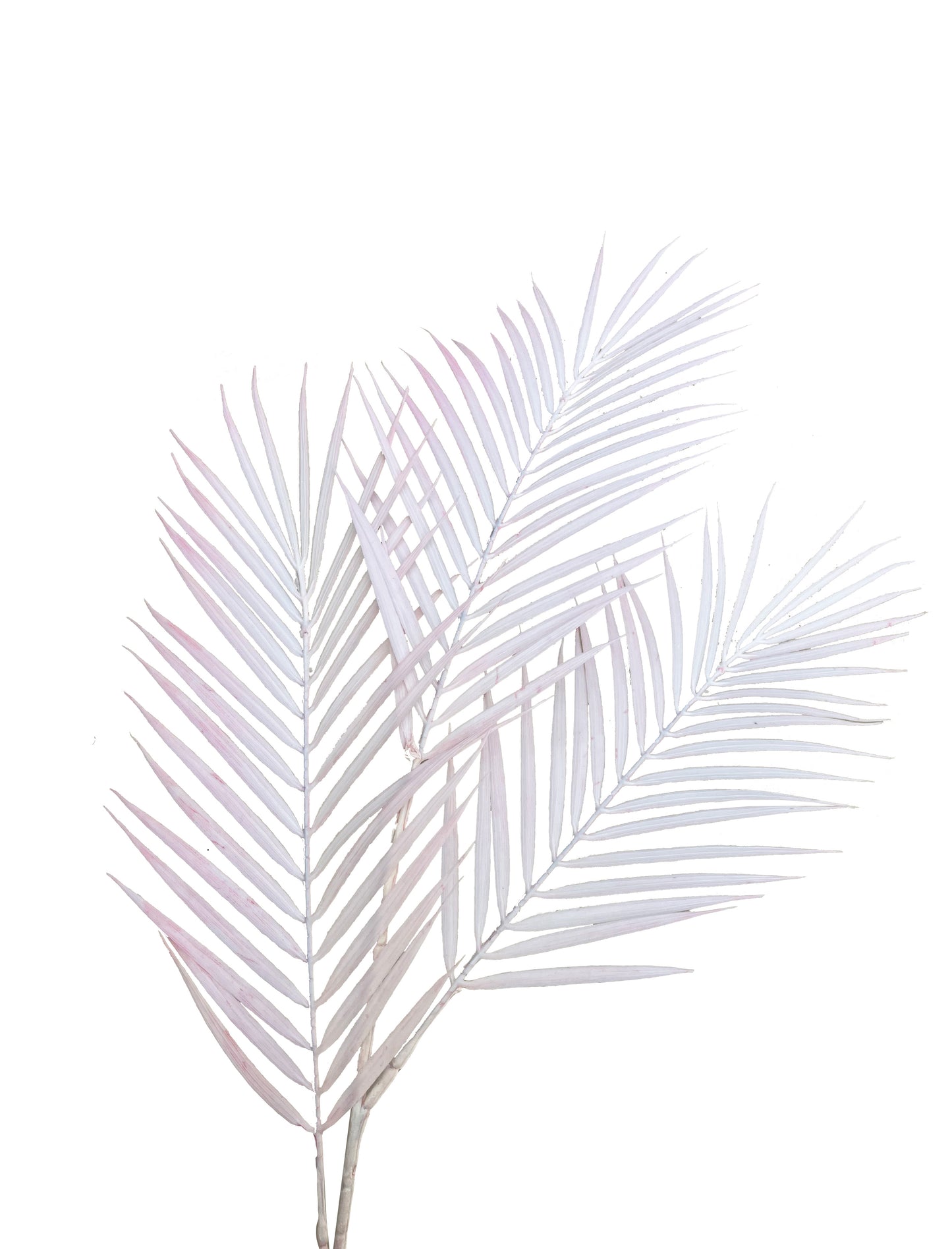 Artificial Palm Light Pink
