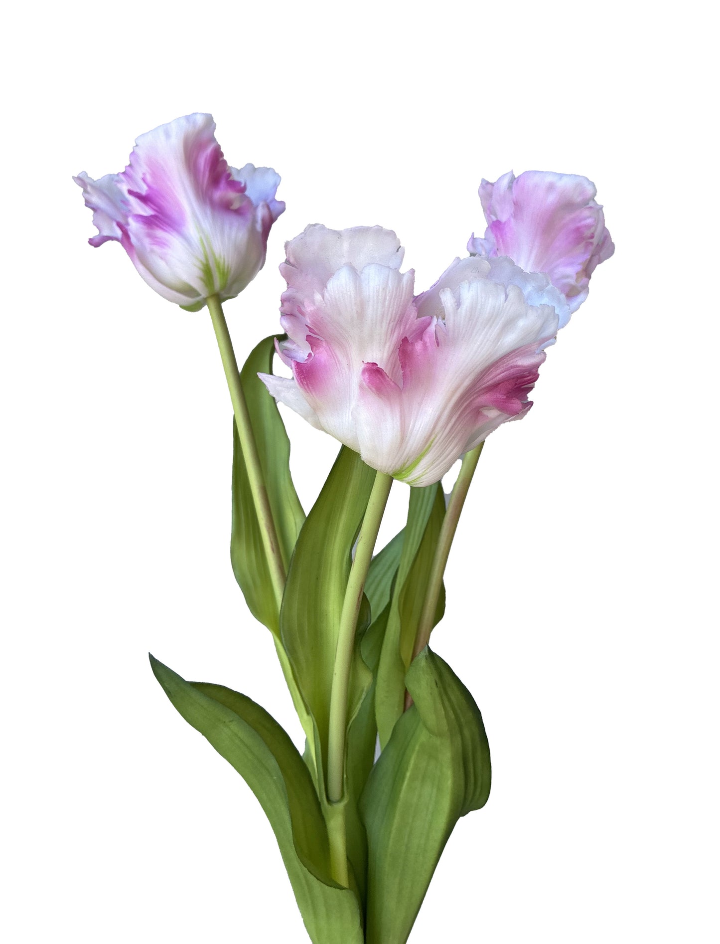 Artificial Real Touch Parrot Tulip Bundle
