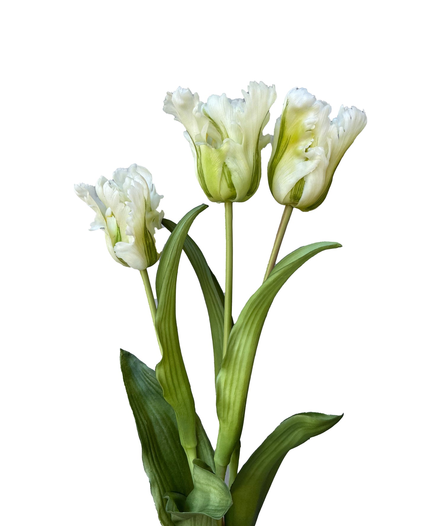 Artificial Real Touch Parrot Tulip Bundle White