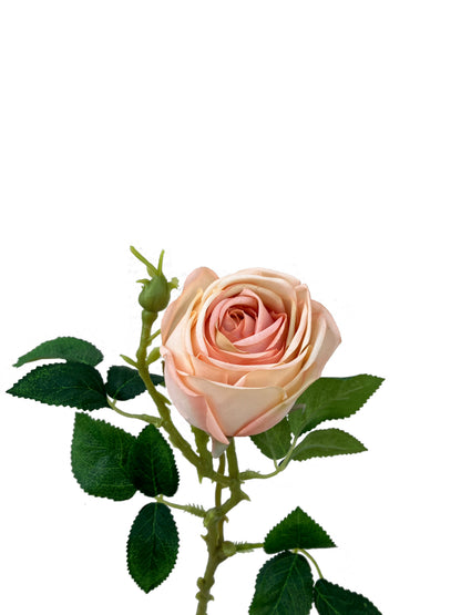 Artificial Silk Aurora Rose Peach