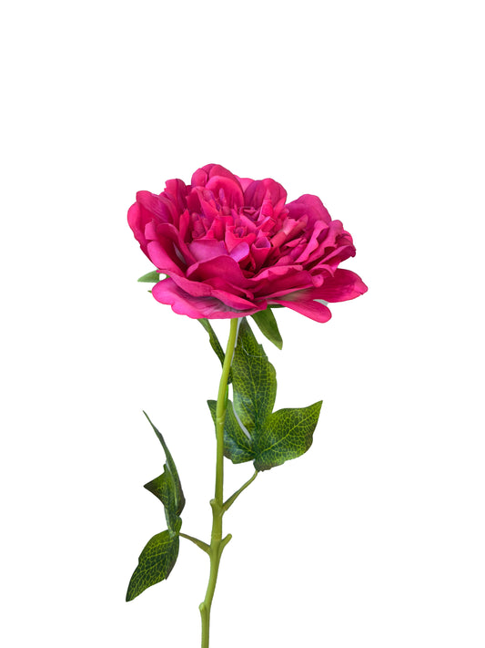 Peonía Artificial Real Touch Fucsia