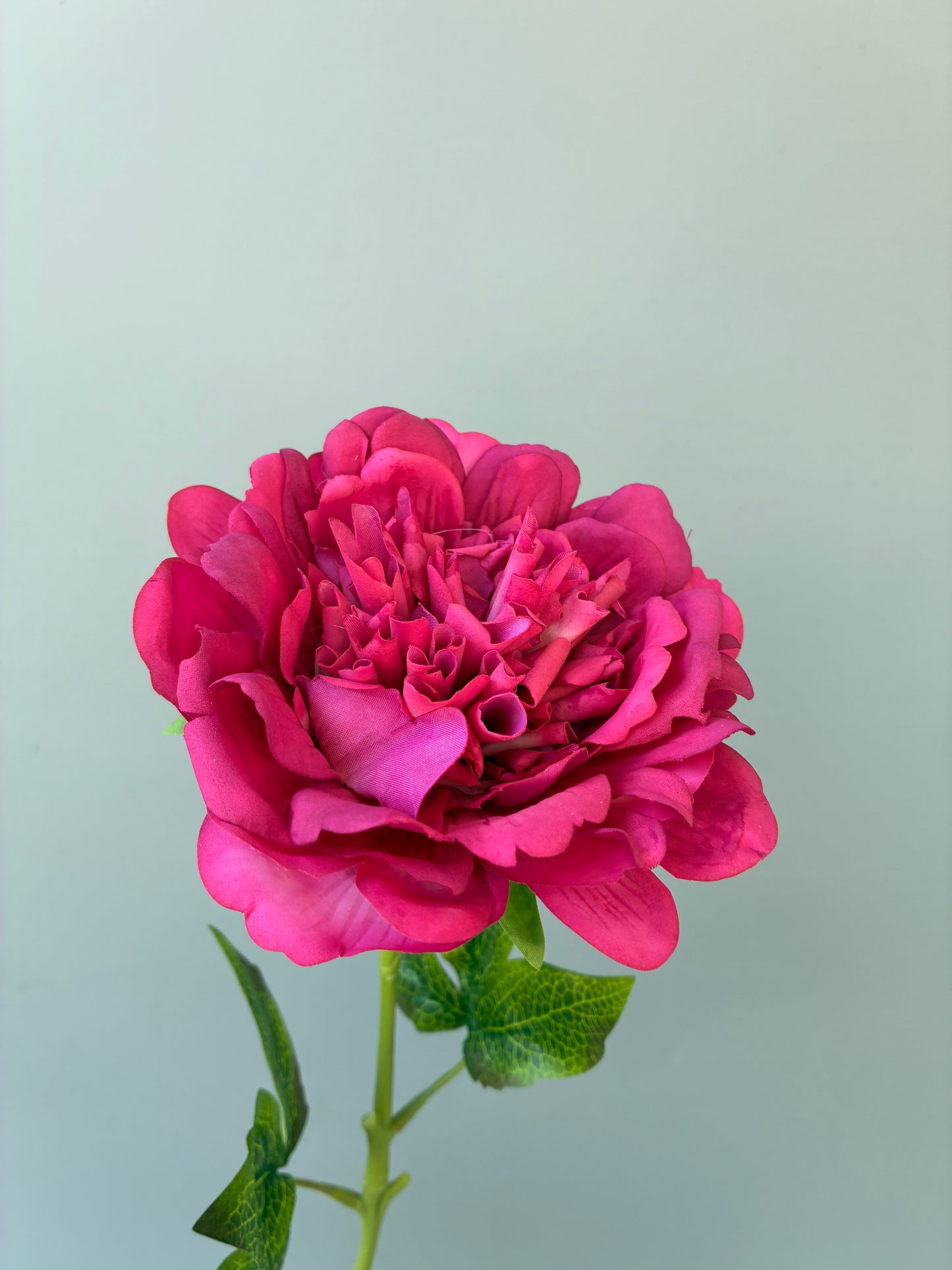 Peonía Artificial Real Touch Fucsia