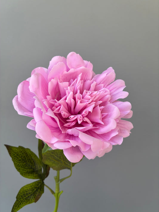 Peonía Artificial Real Touch Fucsia