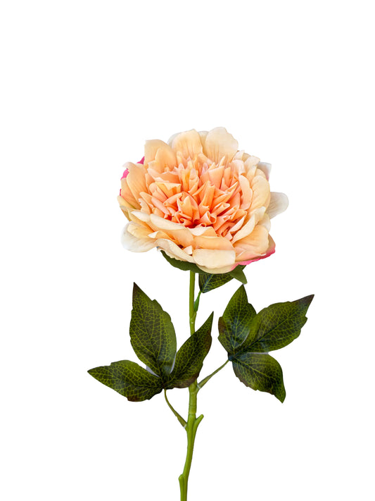 Peonía Artificial Real Touch Fucsia