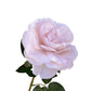 Toque real artificial Austin Rose Blush Peach