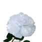 Artificial real touch Austin Rose White