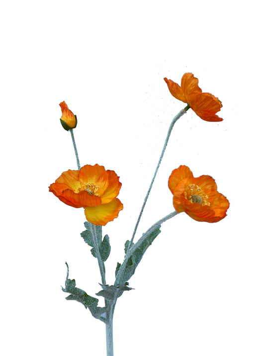 Coquelicot Artificiel Orange