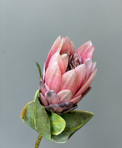 Protea Artificial Roja Petite