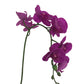        artificial purple orchid