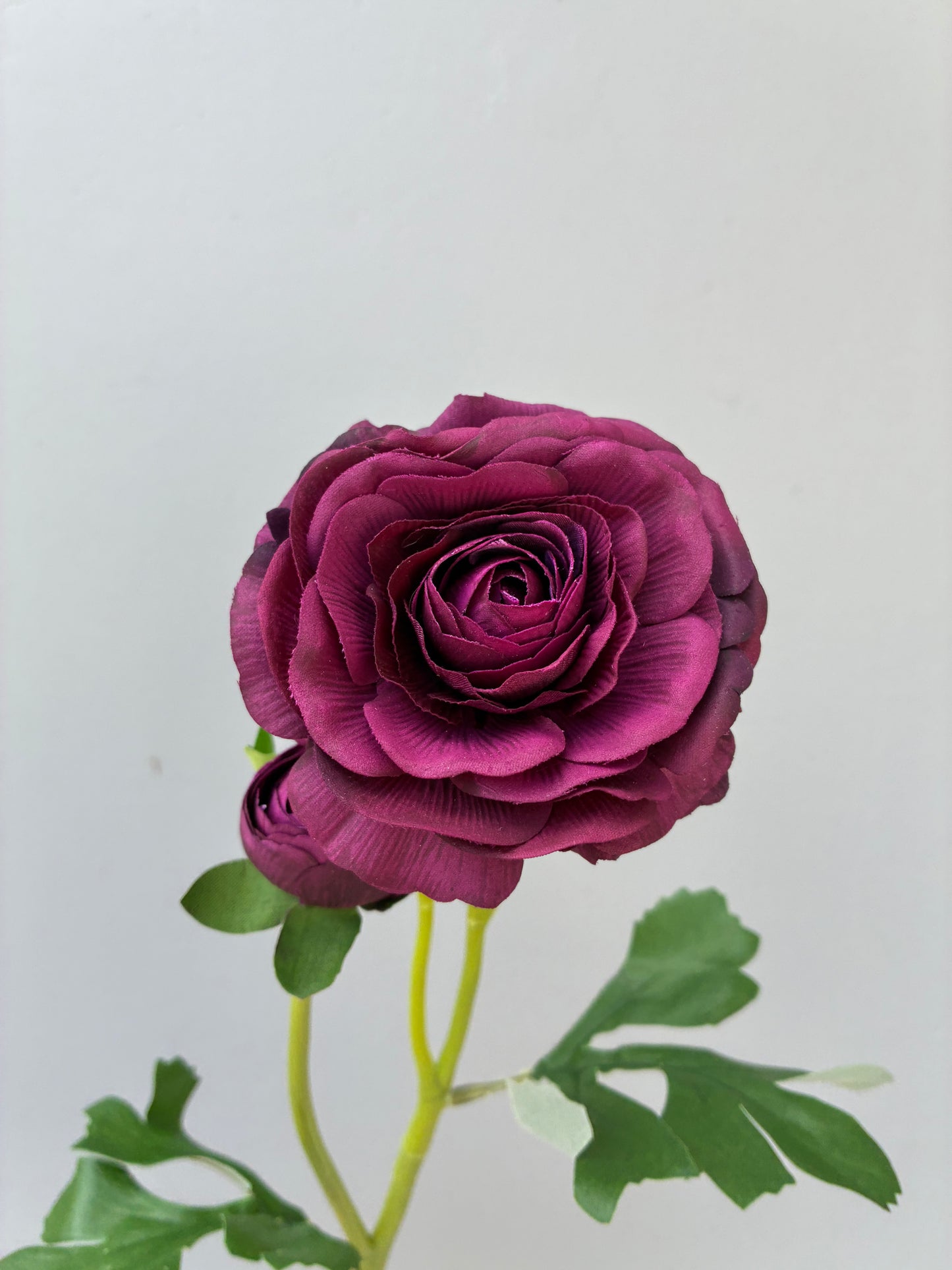 Artificial Real Touch Ranunculus Rose Maroon