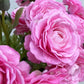 Artificial Real Touch Ranunculus Rose Candy Pink