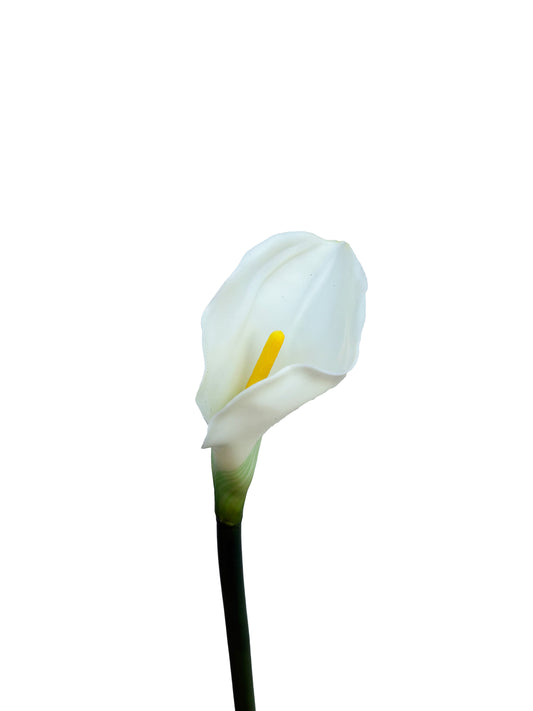 Artificial Calla Lily White