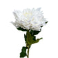 real touch silk dahlia white australia