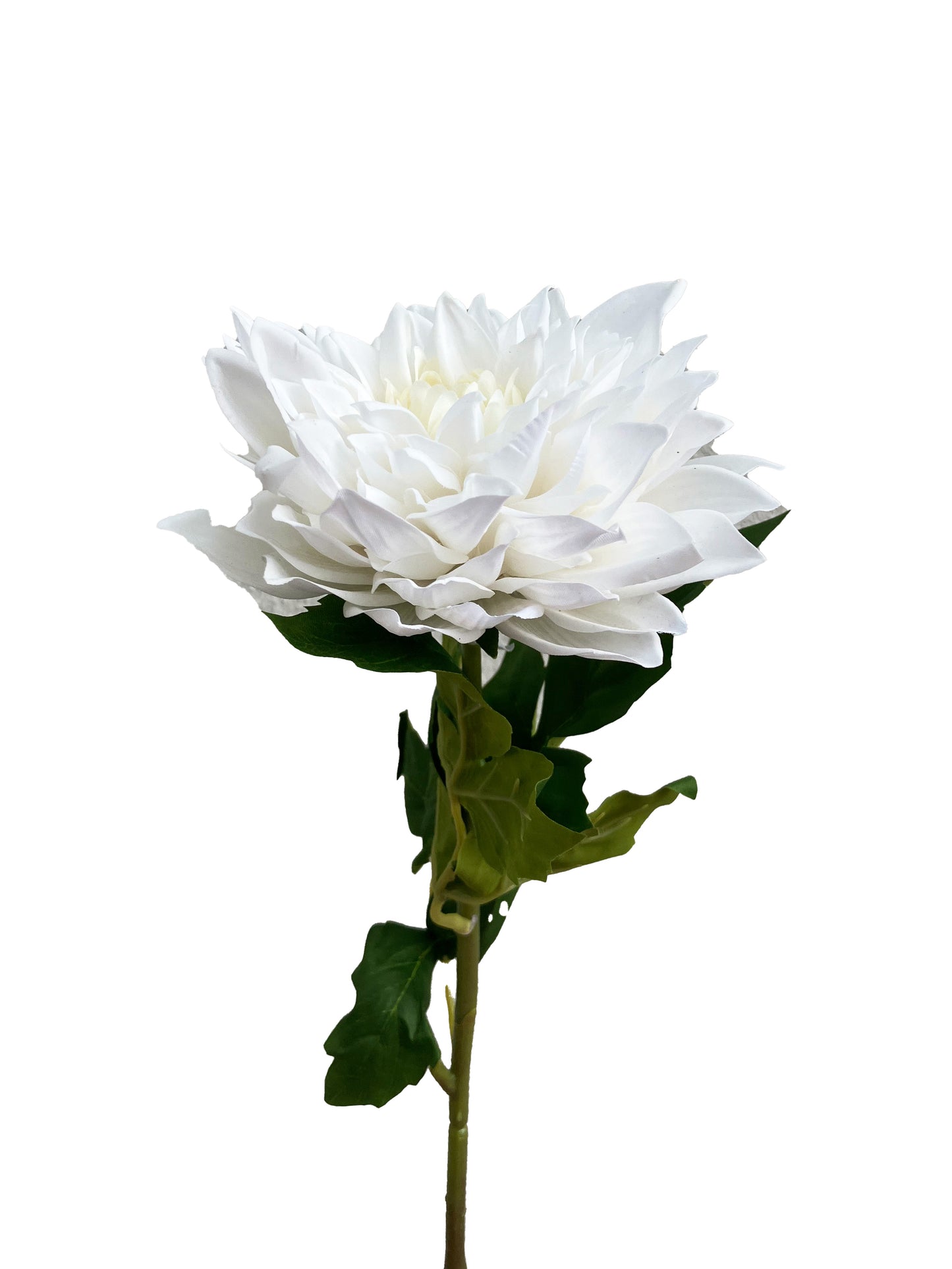 real touch silk dahlia white australia