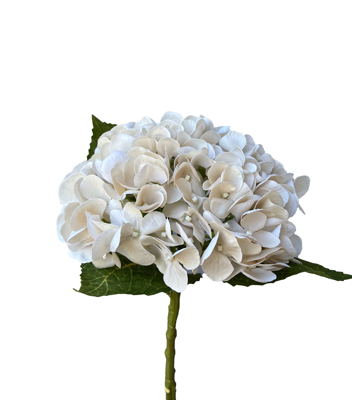 Artificial Real Touch Hydrangea Cream Champagne