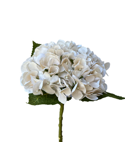 Artificial Real Touch Hydrangea Cream Champagne