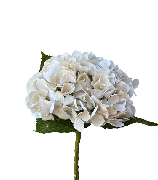 Artificial Real Touch Hydrangea Cream Champagne