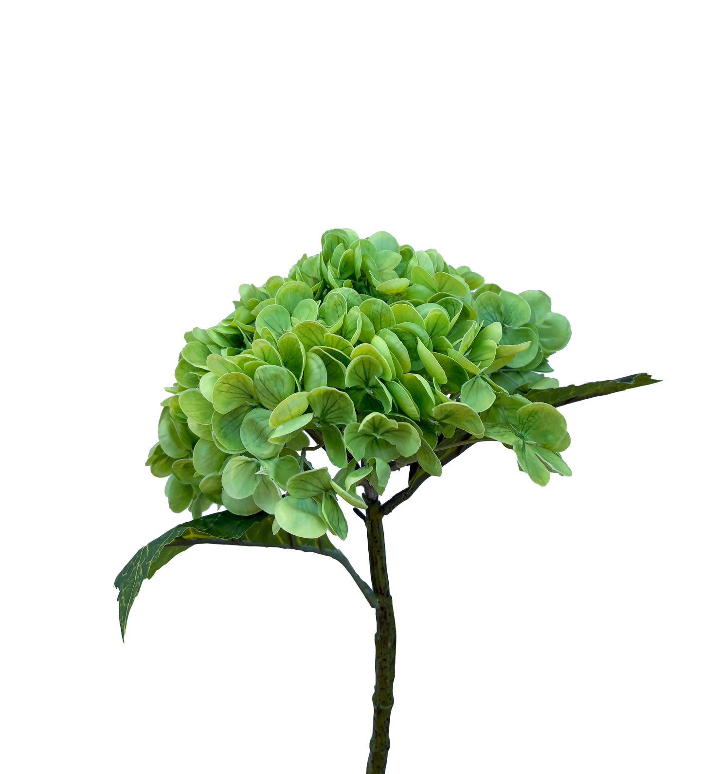 Artificial Real Touch Hydrangea Green