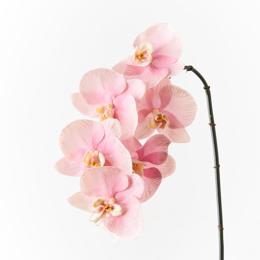 Artificial Real Touch Orchid Blush Pink