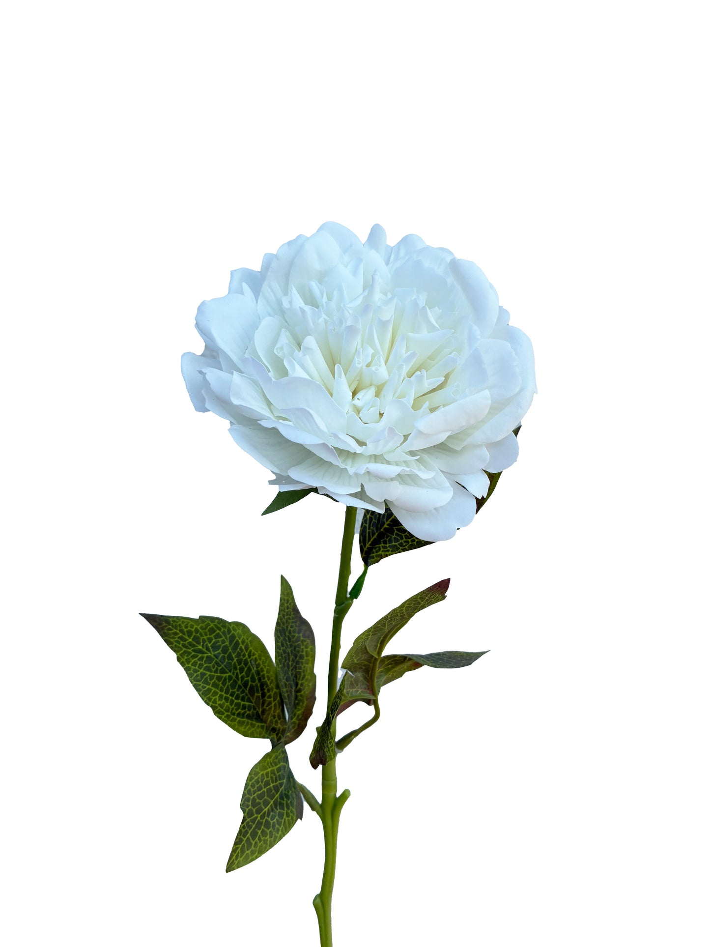 Artificial Real Touch Peony Large White