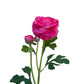 Artificial Real Touch Ranunculus Rose Hot Pink