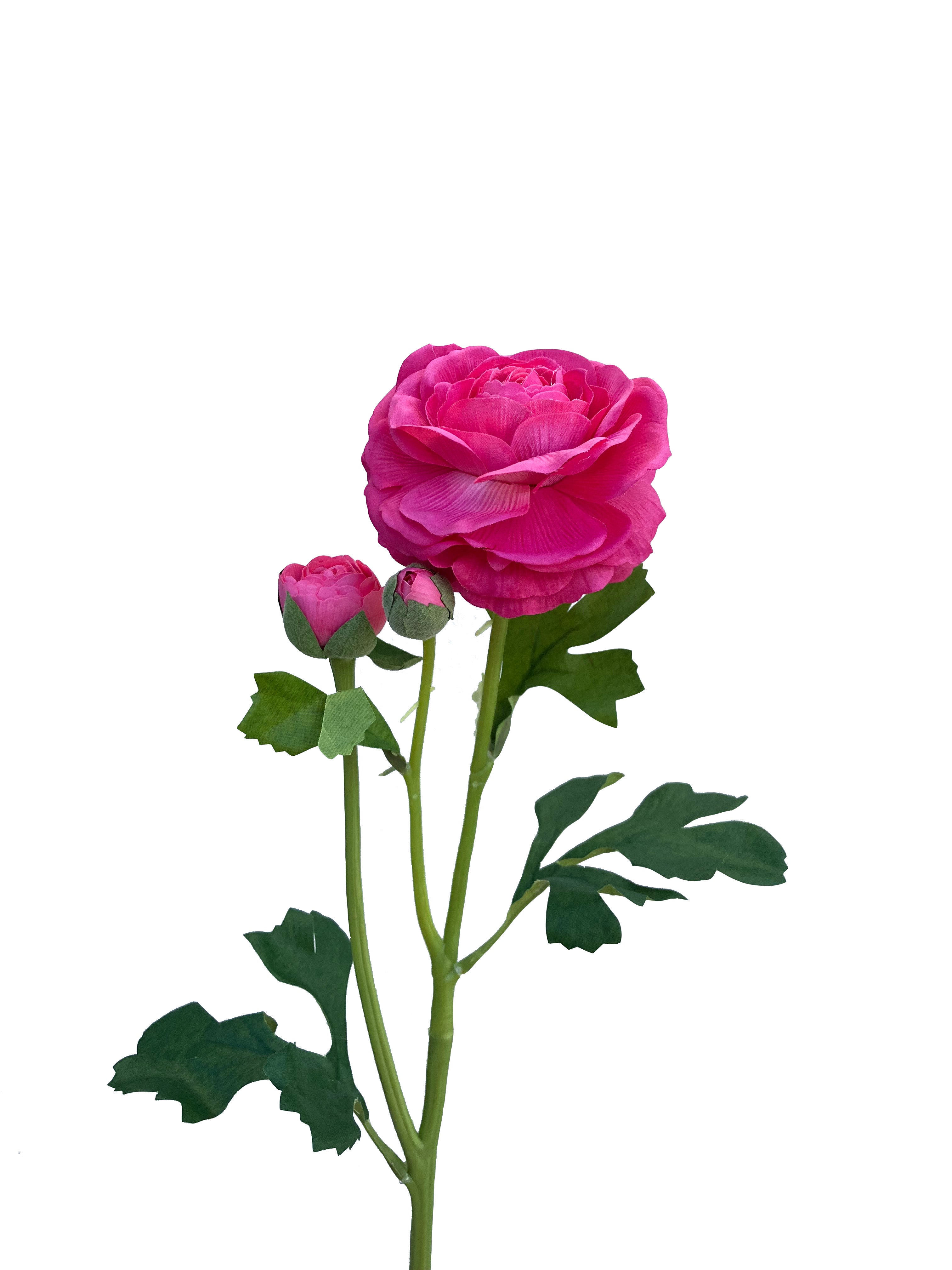 Pink Ranunculus Fake Artificial Real Touch Ranunculus Rose Hot Pink – Wild Blooms